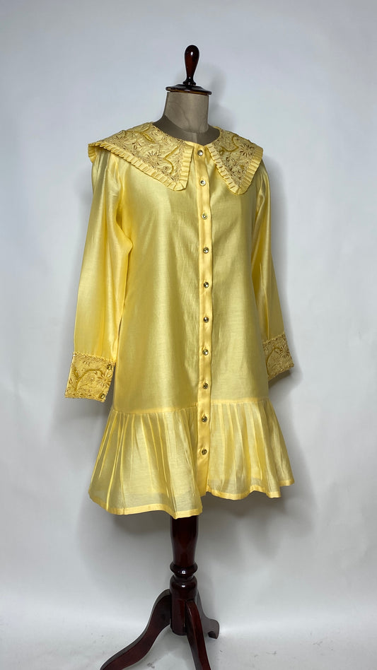 Amber Peter Pan Collar Chikankari Skater Dress